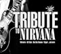Tribute to Nirvana