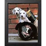 Firefighter Puppy Dog Fire Boat 1 Animal Picture Framed Art Print by Art Prints Inc
