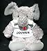 Plush Elephant (Slowpoke) toy with I Love Louvain