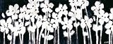 IMAGE OF Green Frog Art Canvas Gallery Wrapped Art, White Flowers On Black