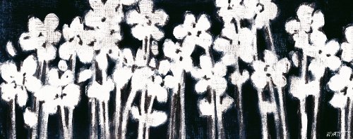 Green Frog Art Canvas Gallery Wrapped Art, White Flowers On Black