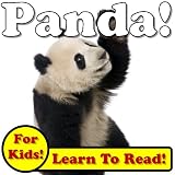 Panda Bears! Learn About Panda Bears While Learning To Read - Panda Bear Photos And Facts Make It Easy! (Over 45+ Photos of Panda Bears)