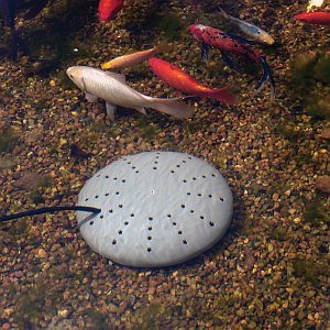 K & H Manufacturing Perfect Climate Submersible Pond De-Icer, Gray 1 ea