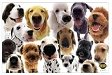 NAP'S  Dog Placemat, In Your Face