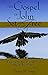 The Gospel of John Set Free: Preaching without Anti-Judaism (Studies in Judaism and Christianity)