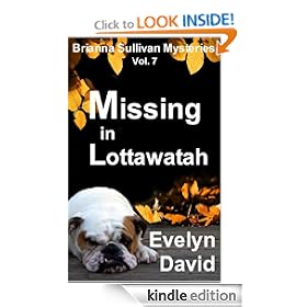 Missing in Lottawatah (Brianna Sullivan Mysteries)
