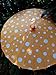 Quasimoon PaperLanternStore.com 32 Inch Orange Polka Dot Paper Parasol Umbrella