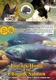 Journey Home of the Chinook Salmon