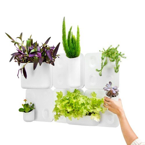 The Big Happy Family Kit On Sale