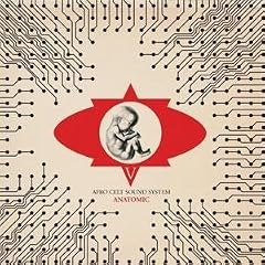 Volume 5: Anatomic