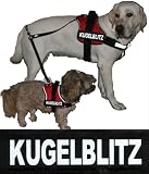 KUGELBLITZ 2xLogos groß weiß/reflektierend für Julius K9 / Logo Klettlogo Austauschlogo K-9 Powergeschirr + IDC (Geschirrgrößen: “1″, “2″, “3″ und “4″)