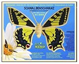 Eigenschaften Weico GmbH 80820 / Weico 80820 - Holzbausatz: Schmetterling Schwalbenschwanz