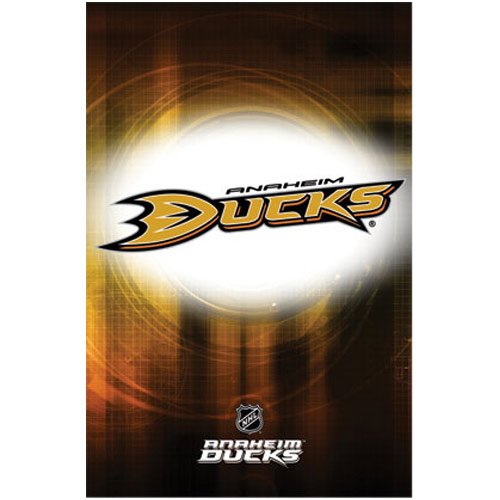 (22x34) Anaheim Ducks Logo 2010 Sports Poster Print