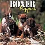 Boxer Puppies 2008 Calendar - Dog Breed 2008 Calendars