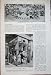 1908 French Flowers Evnas Fashion Advert Seeds Plants