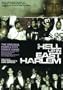 Hell Up in East Harlem: The Original Purple City