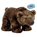 Webkinz Plush Stuffed Animal Grizzly Bear