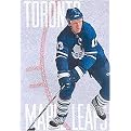 The Story of the Toronto Maple Leafs (The NHL: History and Heroes) (Paperback)
