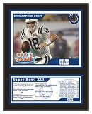 Indianapolis Colts Sublimated 12x15 Plaque - Super Bowl XLI - Framed NFL Photos, Plaques and Collages