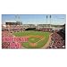 MLB Cincinnati Reds Large Floor Mat