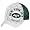 New York Jets
