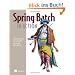 Spring Batch in Action