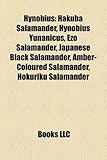 Hynobius: Hakuba Salamander, Hynobius Yunanicus, Ezo Salamander, Japanese Black Salamander, Amber-Coloured Salamander, Hokuriku-