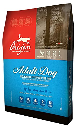 80-20 Adult - 15 LB