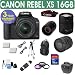 Canon Rebel XS + Sigma 18-200 Lens + 800mm Mirror Lens