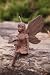 Miranda an Earth Fairy Garden Statuary