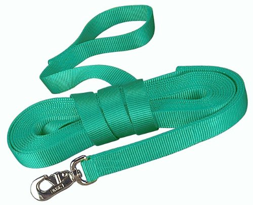 Hamilton 1-Inch Single Thick Nylon Horse Longe Line with Snap 26 Feet, Green
