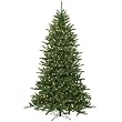 14' Pre-Lit Frasier Fir Artificial Christmas Tree & Stand - Clear Dura Lights