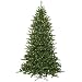 14' Pre-Lit Frasier Fir Artificial Christmas Tree & Stand - Clear Dura Lights
