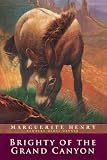 Brighty: Of the Grand Canyon (Marguerite Henry Horseshoe Library)