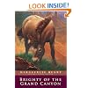 Brighty: Of the Grand Canyon (Marguerite Henry Horseshoe Library)