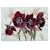 Lifestyle Products, Burgandy Poppies Placemats, Set of 6, 30.5 x 23 cms