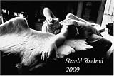 Gerald Axelrod 2009