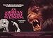 An American Werewolf in London Poster Movie 11x14 David Naughton Griffin Dunne Jenny Agutter