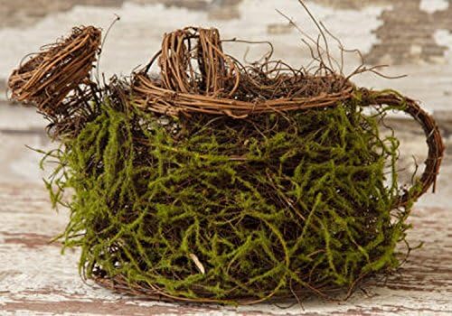 Your Hearts Delight Mossy Twig Watering Can, 12 by 7 by 7-Inch