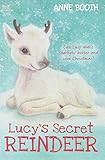 Lucy's secret reindeer