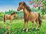 Horse + Horse Jigsaw Puzzle 35pc