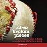 All the Broken Pieces