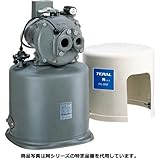TERAL/テラル Nシリーズ （旧ナショナル） 深井戸ポンプ PG-305F-6 [60hz][単相100V][出力W]