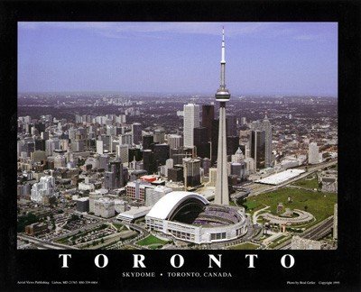 (22x28) Brad Geller Toronto Blue Jays Skydome Sports Poster Print