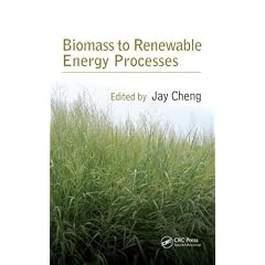 Biomass to Renewable Energy Processes