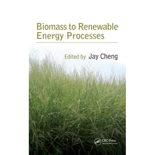 Biomass to Renewable Energy Processes