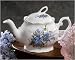 Royal Patrician Bone China 6 Cup Teapot Forget Me Not Pattern