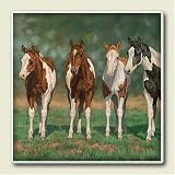 Pint Size Paint Horses Chris Cummings Western Horses Absorbastone Coasters Set/4