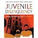 Juvenile Delinquency: Theory, Practice, and Law (with CD-ROM and InfoTrac�)
