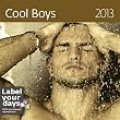 Cool Boys 2013 Wall Calendar
